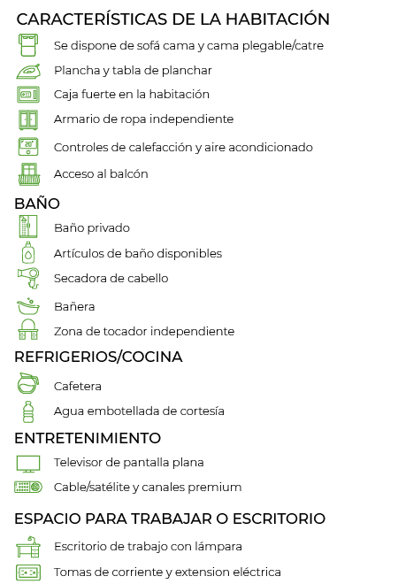 1 KING BED EXECUTIVE