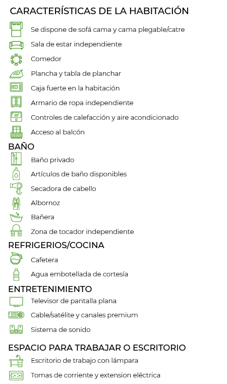 1 KING BED PRESIDENTIAL